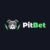 The Ultimate Pitbet.io 2025 Review: An Honest Look